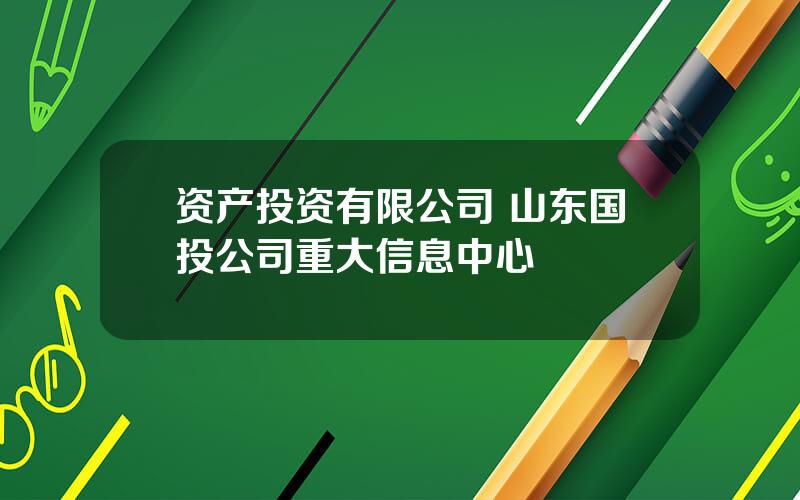 资产投资有限公司 山东国投公司重大信息中心